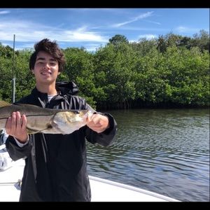 Meet your Posher, Django